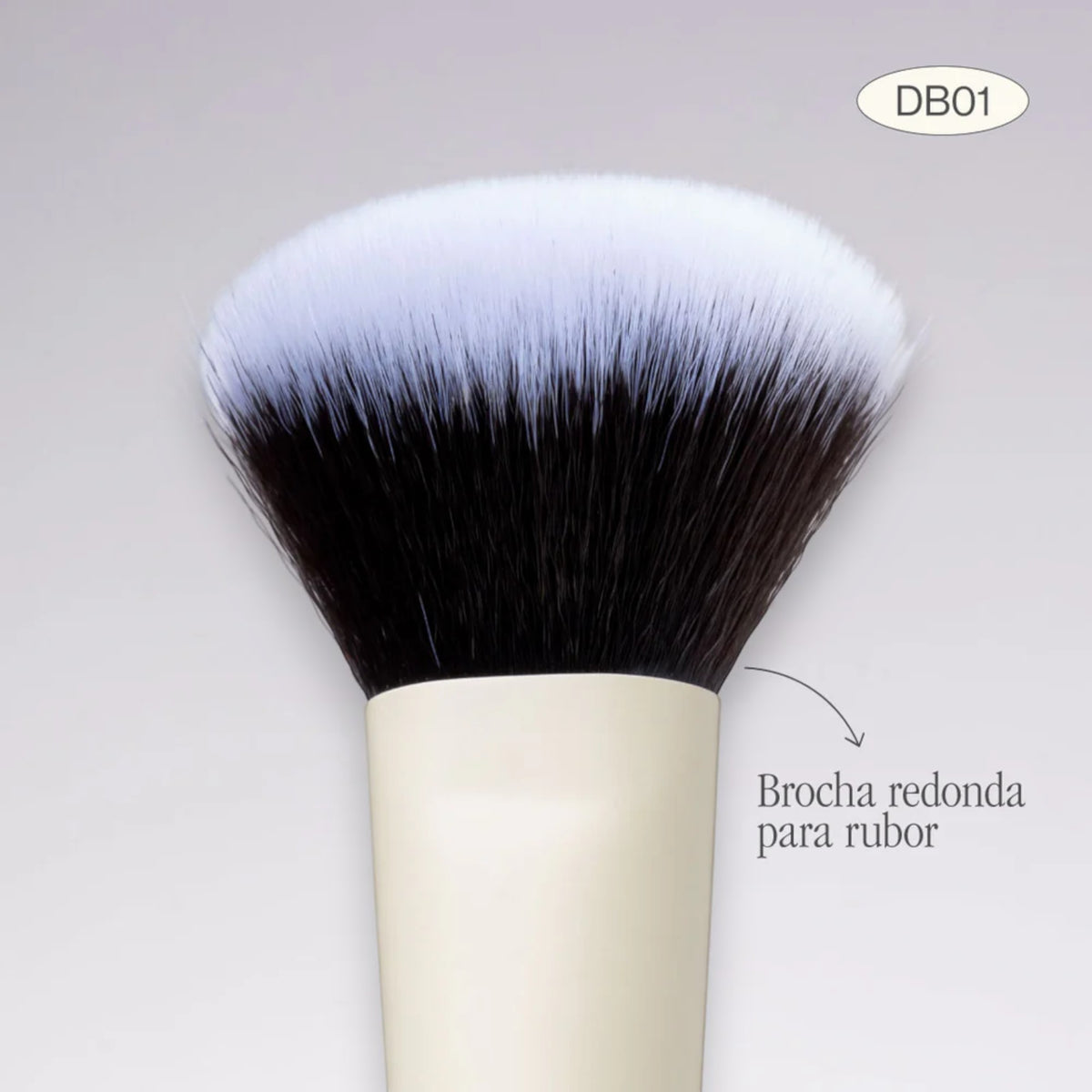 Brocha Duo Glam Db01 Polvo/Rubor