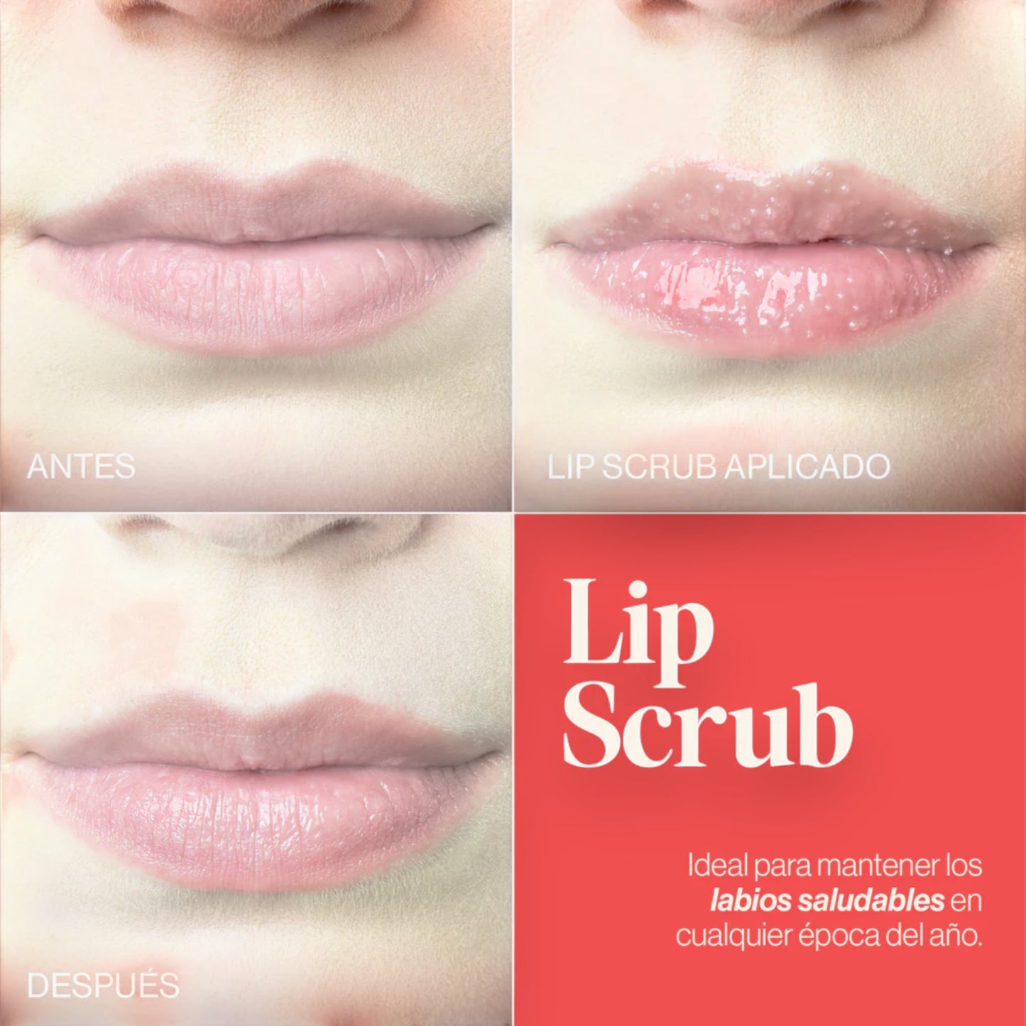 Exfoliante De Labios Lipscrub