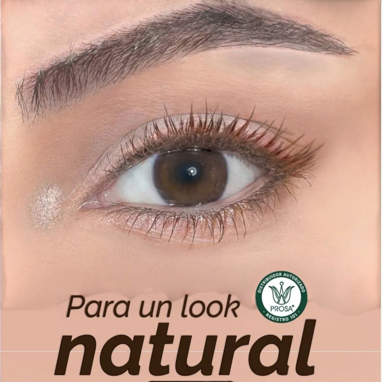 Pestañina Prosa Clasica Cafe
