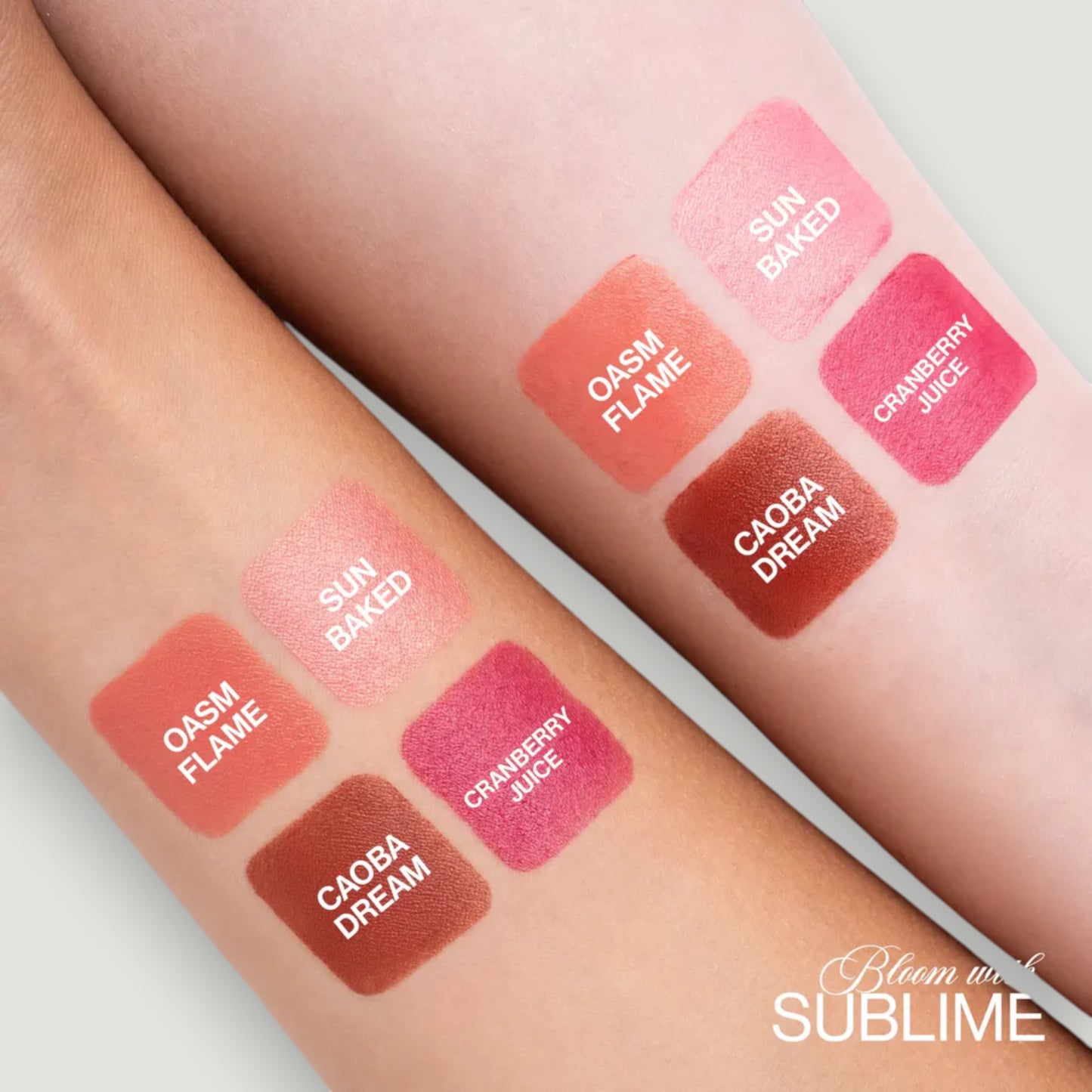 Rubor En Stick Sublime